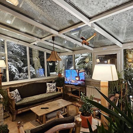 Boutique Hotel Forest Retreat (Adults Only) Буштени Экстерьер фото