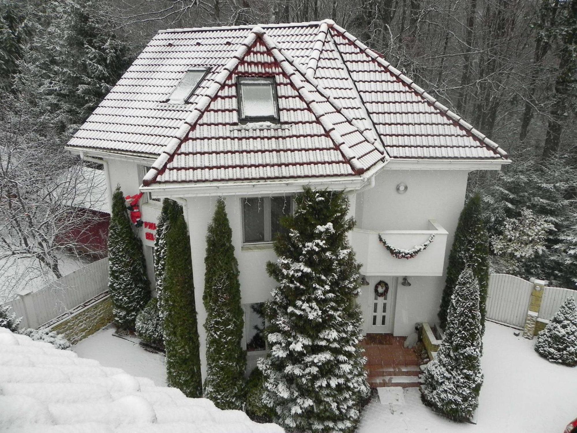 Boutique Hotel Forest Retreat (Adults Only) Буштени Экстерьер фото