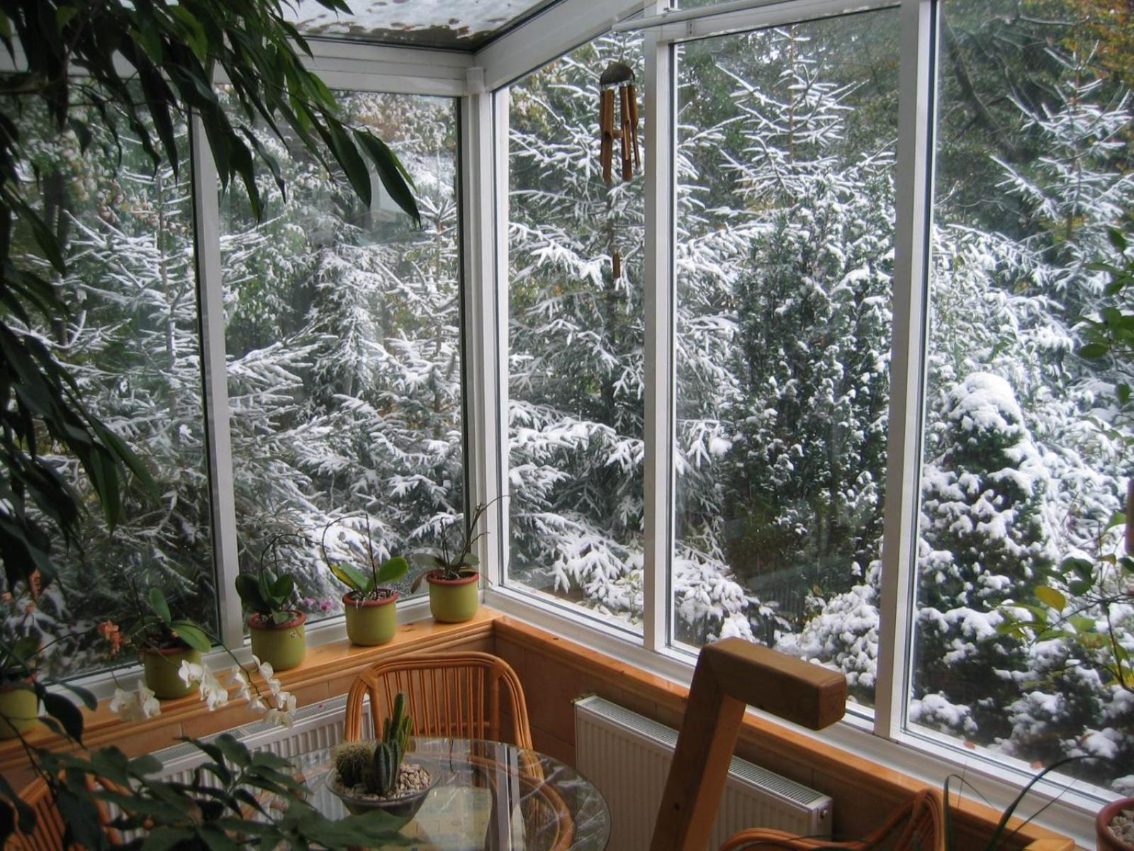 Boutique Hotel Forest Retreat (Adults Only) Буштени Экстерьер фото
