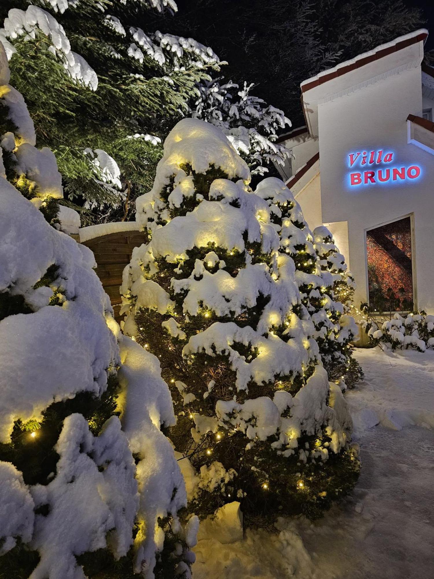 Boutique Hotel Forest Retreat (Adults Only) Буштени Экстерьер фото