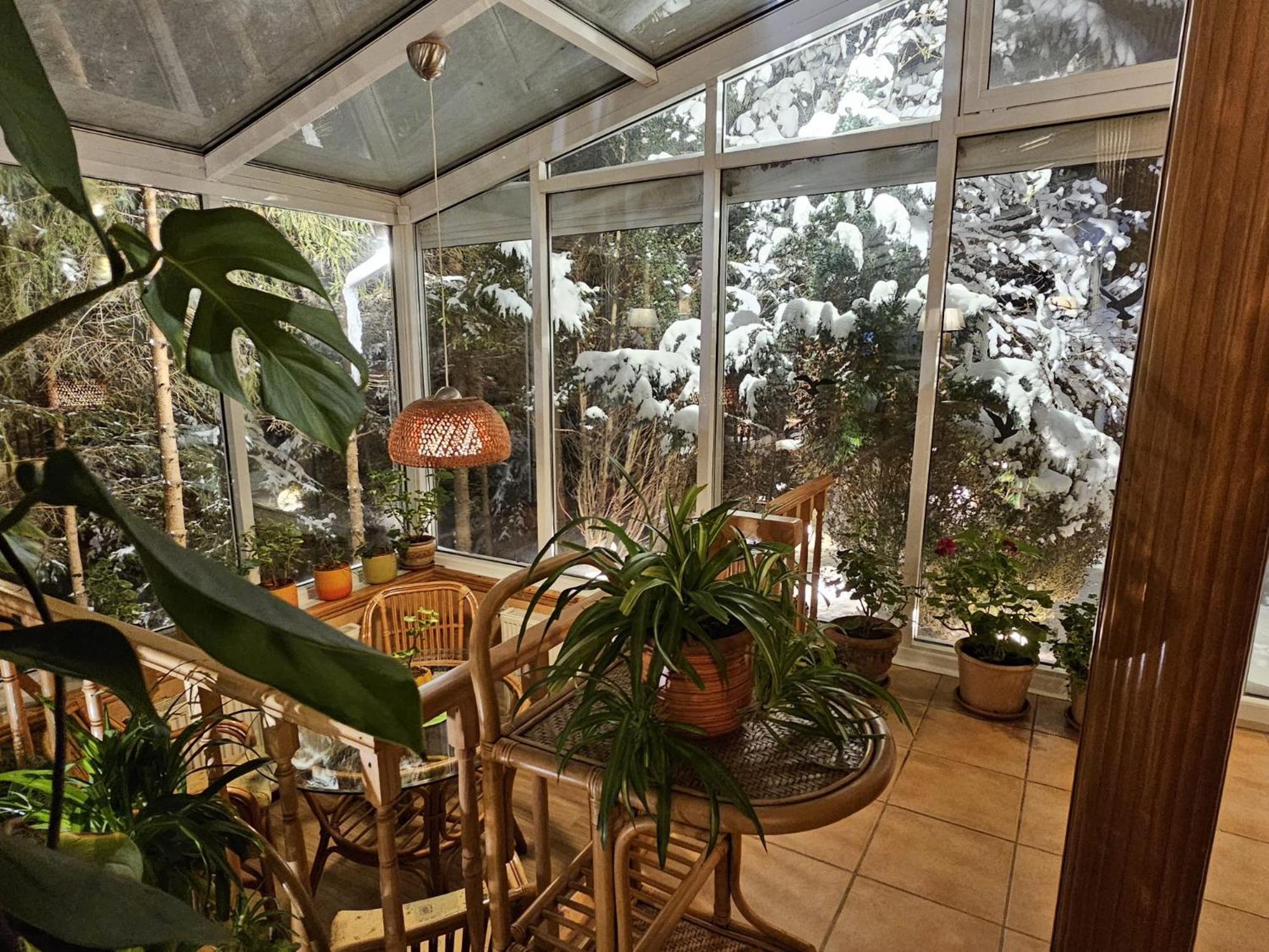 Boutique Hotel Forest Retreat (Adults Only) Буштени Экстерьер фото