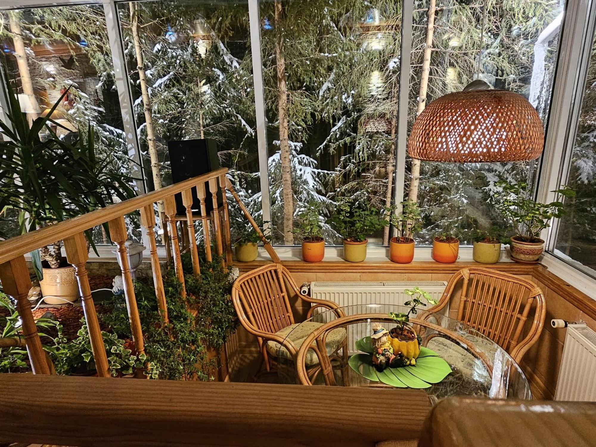 Boutique Hotel Forest Retreat (Adults Only) Буштени Экстерьер фото